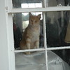 Hello!