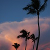 Miami and The Keys : 
